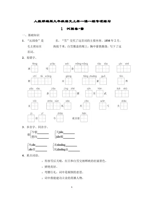 人教部编版九年级语文上册一课一练专项练习含答案