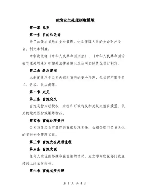 盲炮安全处理制度模版