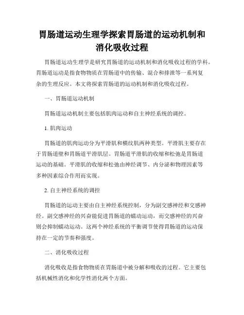 胃肠道运动生理学探索胃肠道的运动机制和消化吸收过程