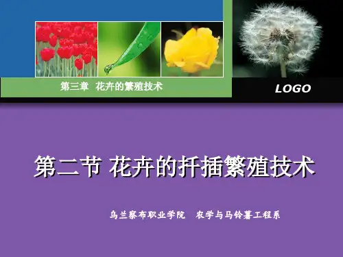花卉的扦插繁殖技术