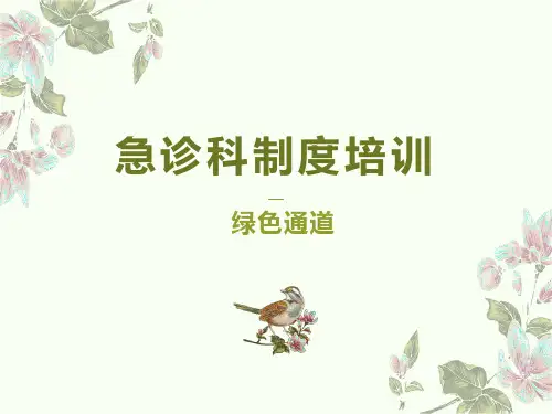 急诊科制度培训1绿色通道