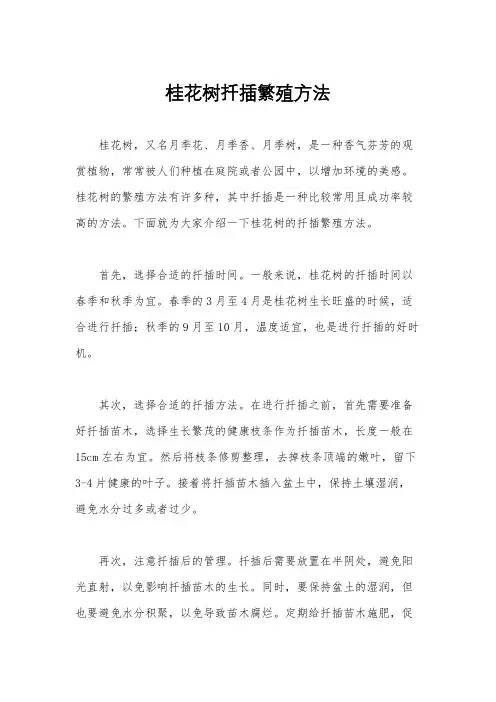 桂花树扦插繁殖方法