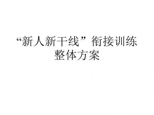 最新保险公司培训：“新人新干线”衔接训练整体方案