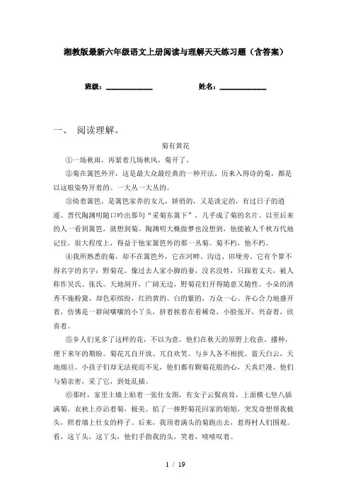 湘教版最新六年级语文上册阅读与理解天天练习题(含答案)