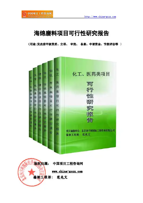 海绵磨料项目可行性研究报告(模板案例)