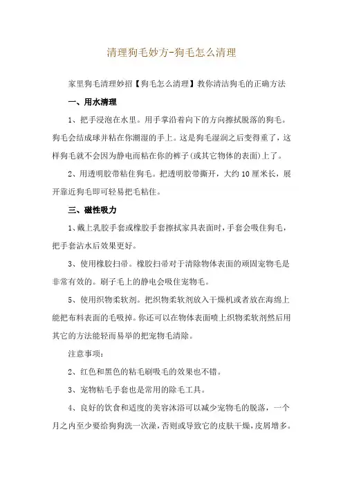 清理狗毛妙方-狗毛怎么清理
