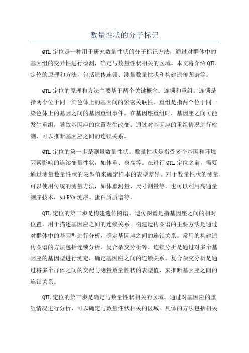 数量性状的分子标记