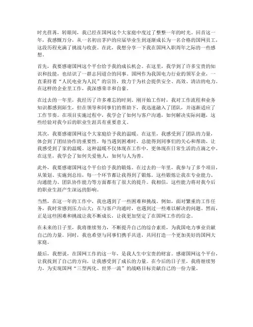 国网入职周年工作感想