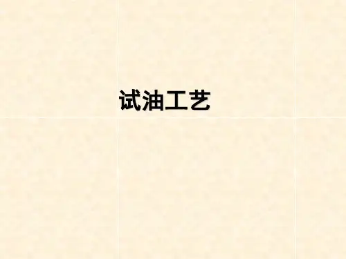 试油工艺