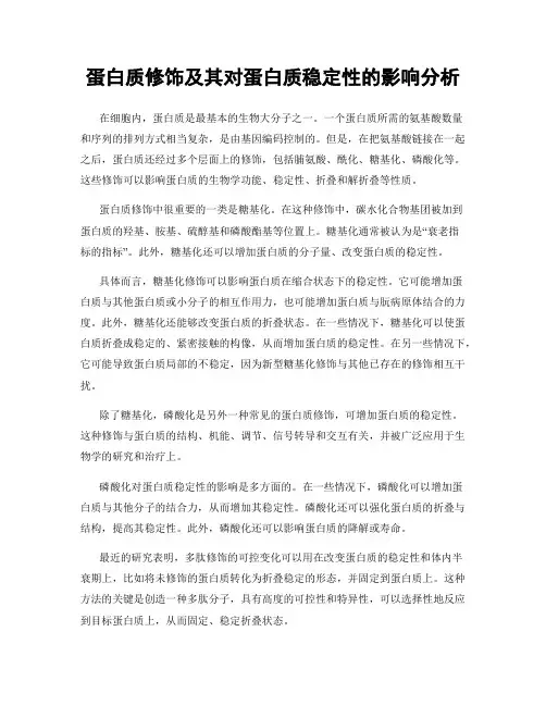 蛋白质修饰及其对蛋白质稳定性的影响分析