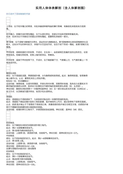 实用人体体表解剖（含人体解剖图）