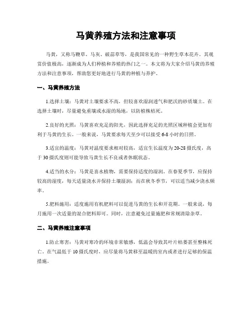 马黄养殖方法和注意事项
