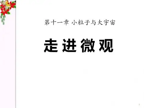 《走进微观》小粒子与大宇宙 精品课件3