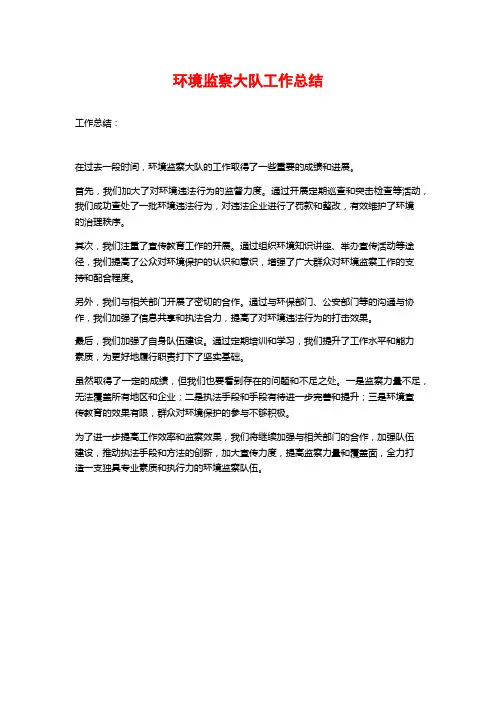 环境监察大队工作总结