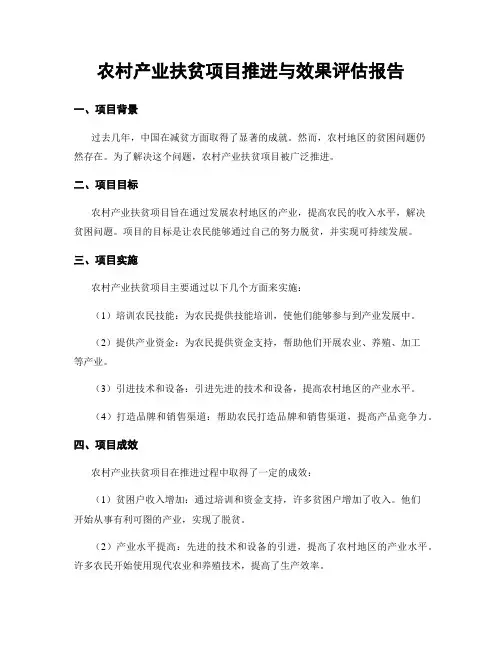 农村产业扶贫项目推进与效果评估报告