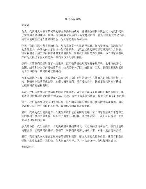 秘书长发言稿