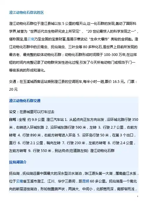 澄江动物化石群名胜区