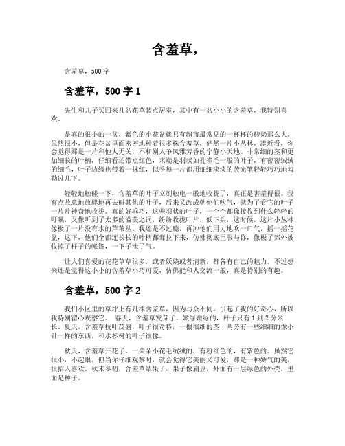 含羞草-专业文档!