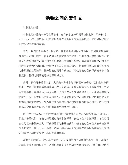 动物之间的爱作文