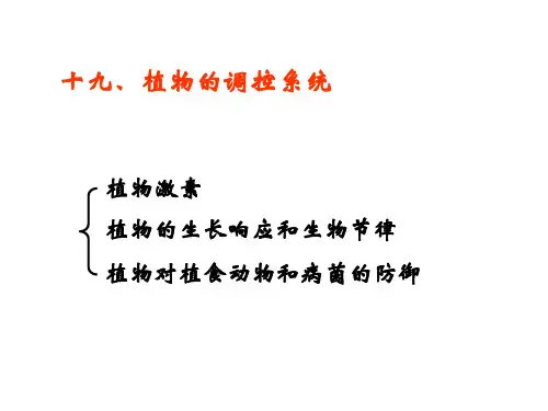 19 植物的调控系统