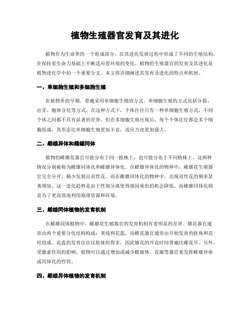 植物生殖器官发育及其进化