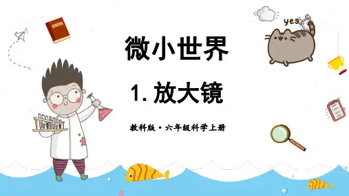 教科版小学科学六年级上册第一单元复习PPT 