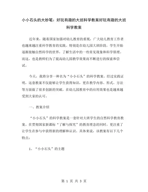 小小石头的大妙笔：好玩有趣的大班科学教案