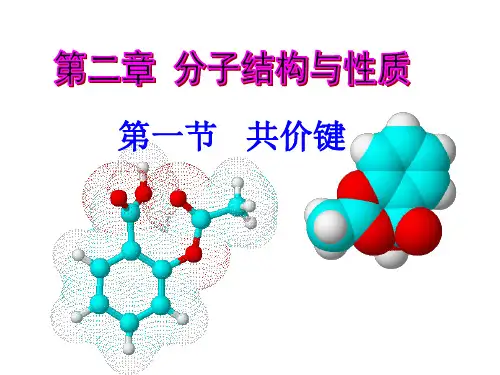人教版 选修3 第二章第一节 共价键 课件 (共18张PPT)