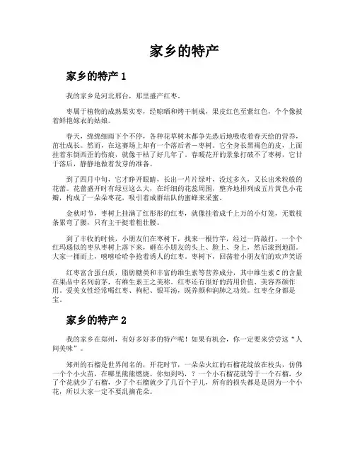 家乡的特产