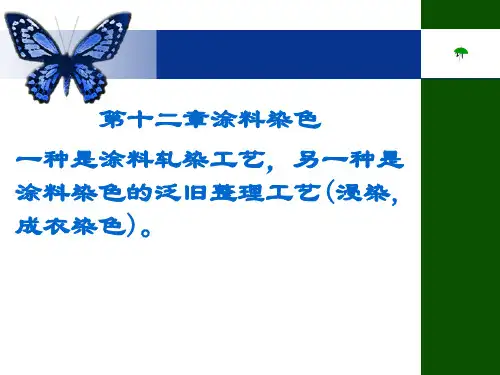 第十二章涂料染色
