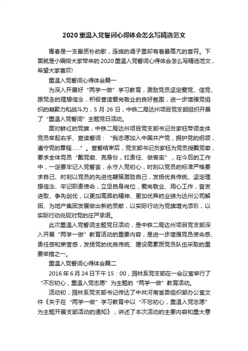 2020重温入党誓词心得体会怎么写精选范文
