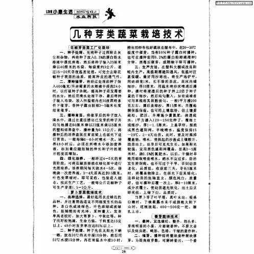 几种芽类蔬菜栽培技术