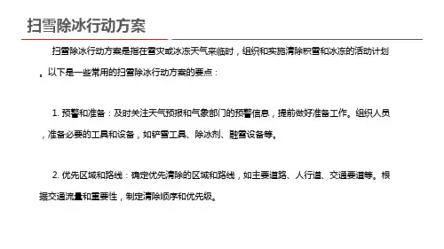 扫雪除冰行动方案