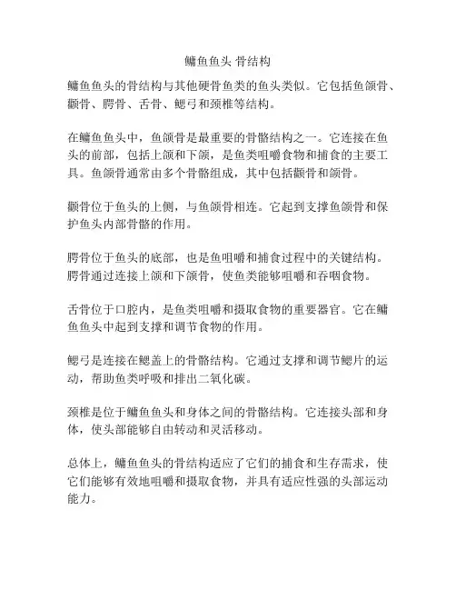 鳙鱼鱼头 骨结构