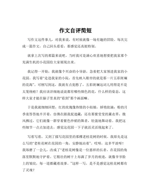 作文自评简短