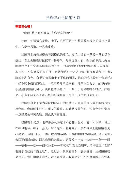 养猫记心得随笔5篇