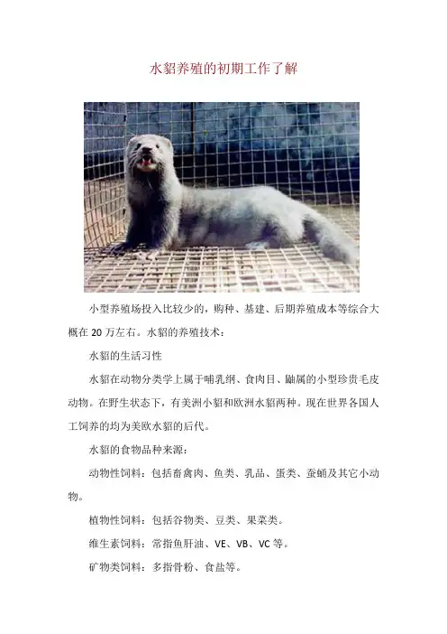 水貂养殖的初期工作了解
