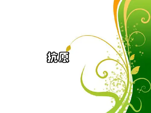抗原PPT课件