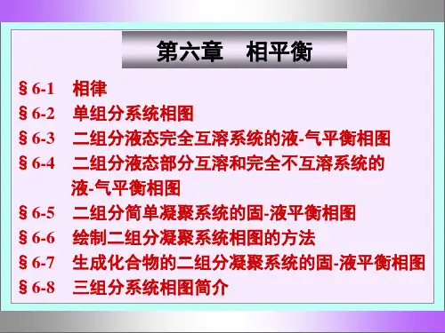 北京化工大学--相平衡()