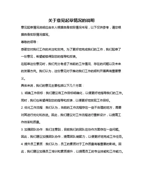关于意见起草情况的说明