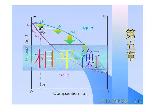 物理化学相图课件(PDF)