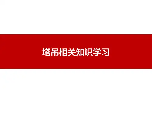 12196 塔吊安全管理学习