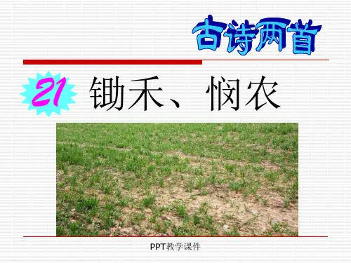 苏教版一年级下册语文《古诗两首(锄禾悯农)》PPT课件