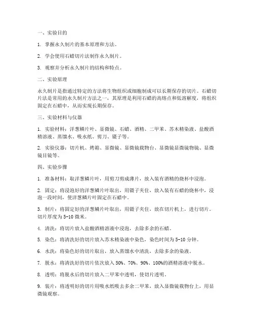永久制片的实验报告