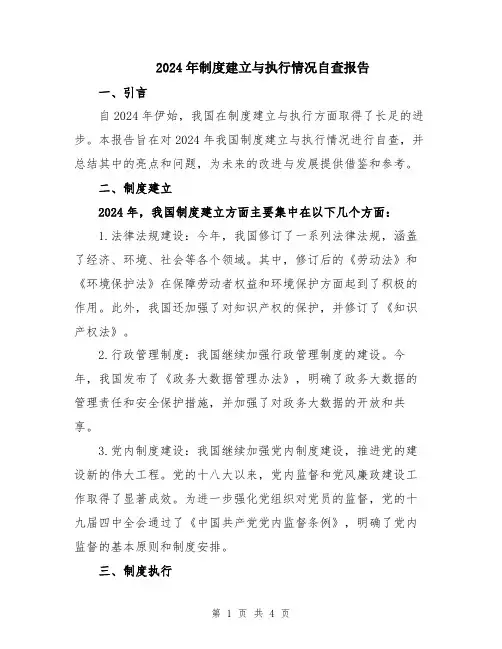 2024年制度建立与执行情况自查报告