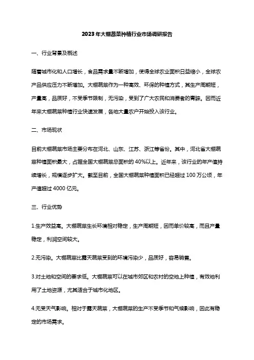 2023年大棚蔬菜种植行业市场调研报告