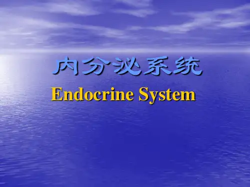 《组织学与胚胎学》课件——内分泌系统(人卫版)