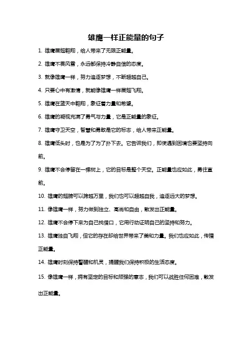 雄鹰一样正能量的句子