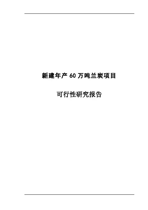 新建年产60万吨兰炭项目可行性研究报告