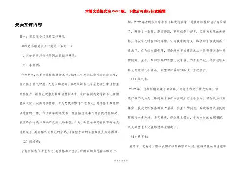 党员互评内容